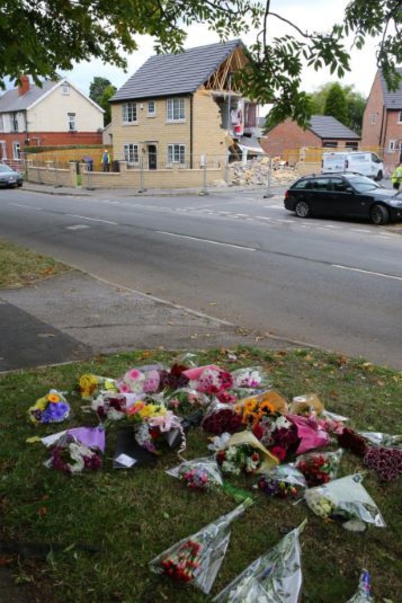 Other image for Killed by runaway truck